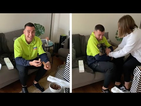Man Surprised With Puppy On 25th Birthday