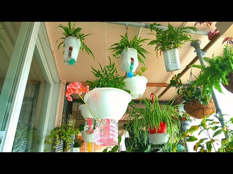 Creating a hanging plant that absorbs water on its ownㅣSelf-watering