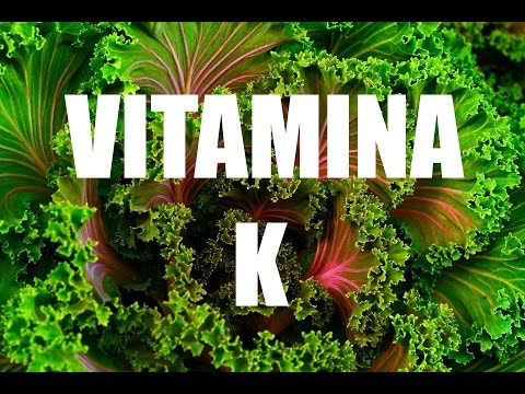 VITAMINA K – Funções, benefícios e alimentos ricos em Vitamina K