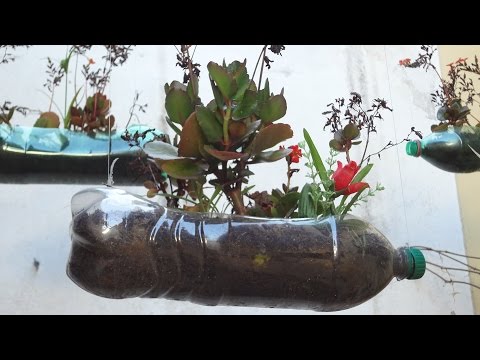 Jardim suspenso com garrafa plástica