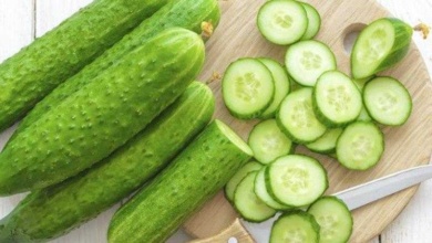 7 Benefícios para o corpo em comer pepino todos os dias