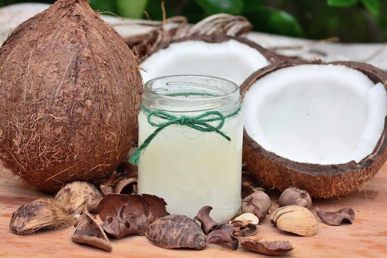 Oleo de coco e seus beneficios infinitos