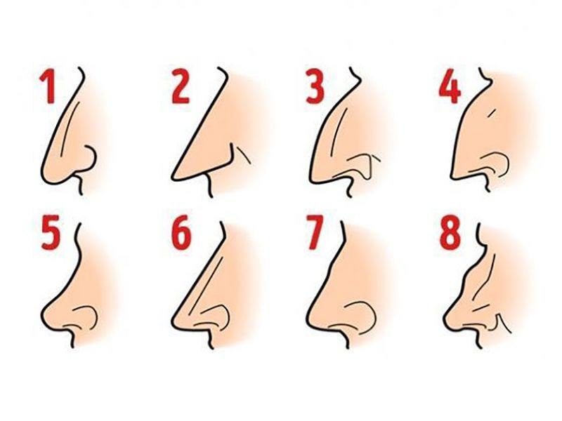 Veja o que o formato do seu nariz revela sobre você