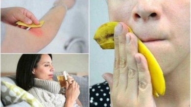 7 Usos INCRÍVEIS da casca de banana