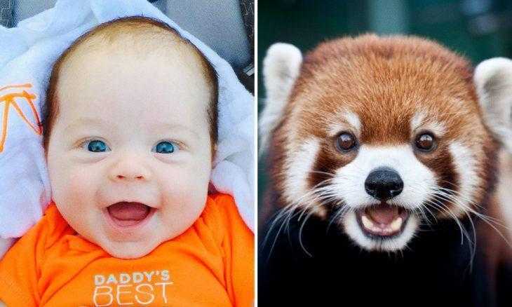 15 Fotos que comprovam que os animais podem sentir emoções iguais as crianças