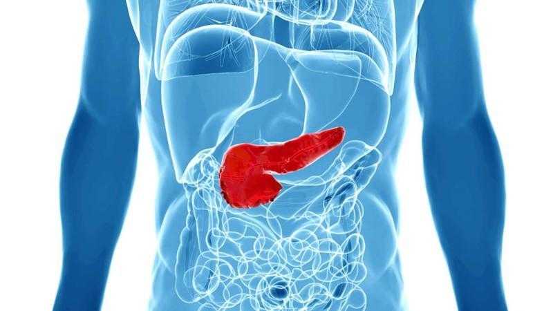 5 sintomas para detectar o câncer de pâncreas