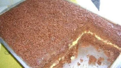 Bolo Gelado com Mousse de Maracujá