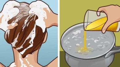 8 Receitas caseiras para hidratar e alisar o cabelo