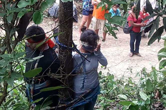 Boliviana foi amarrada a uma árvore por aldeões irritados – e depois condenada à morte por formigas