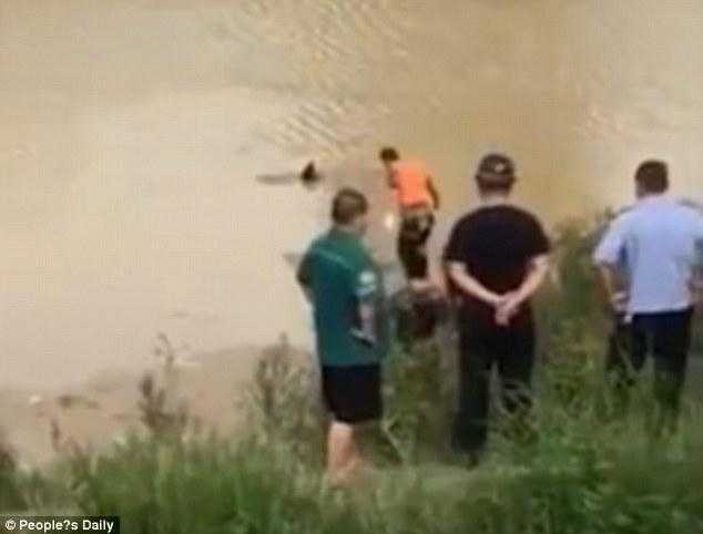 Bombeiros tentam retirar corpo boiando de lago, mas são surpreendidos