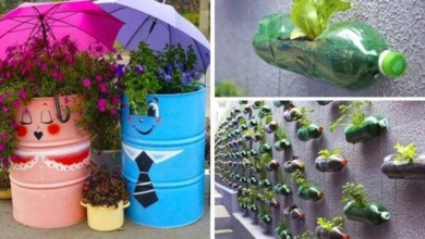 Decoração de jardim com materiais reciclados