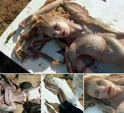 Corpo de Sereia é encontrado numa praia no BRASIL