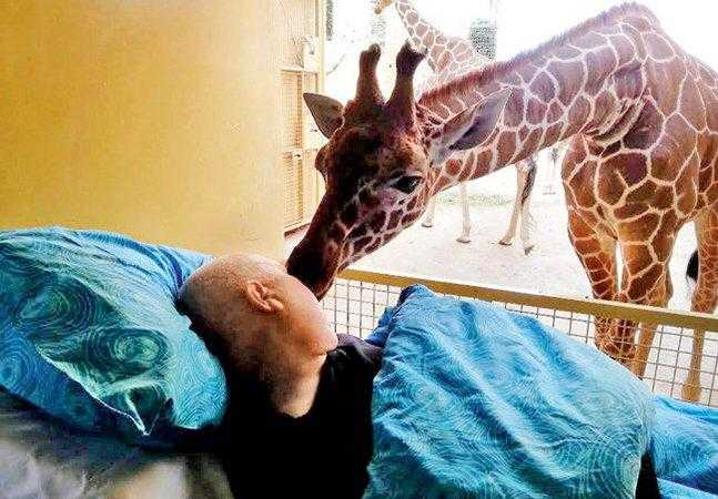 Girafa se despede de seu cuidador com um ‘beijo’
