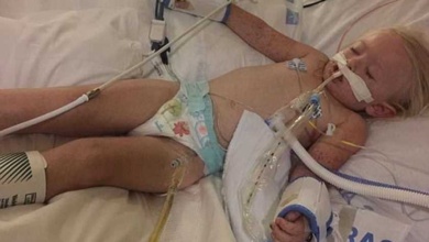 Criança de 2 anos morre após ser picada por carrapato