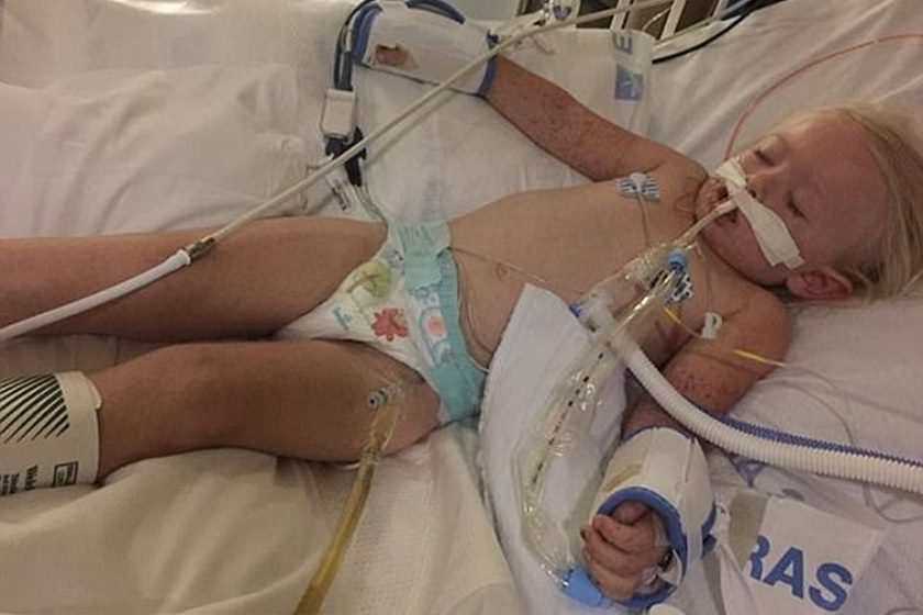 Criança de 2 anos morre após ser picada por carrapato