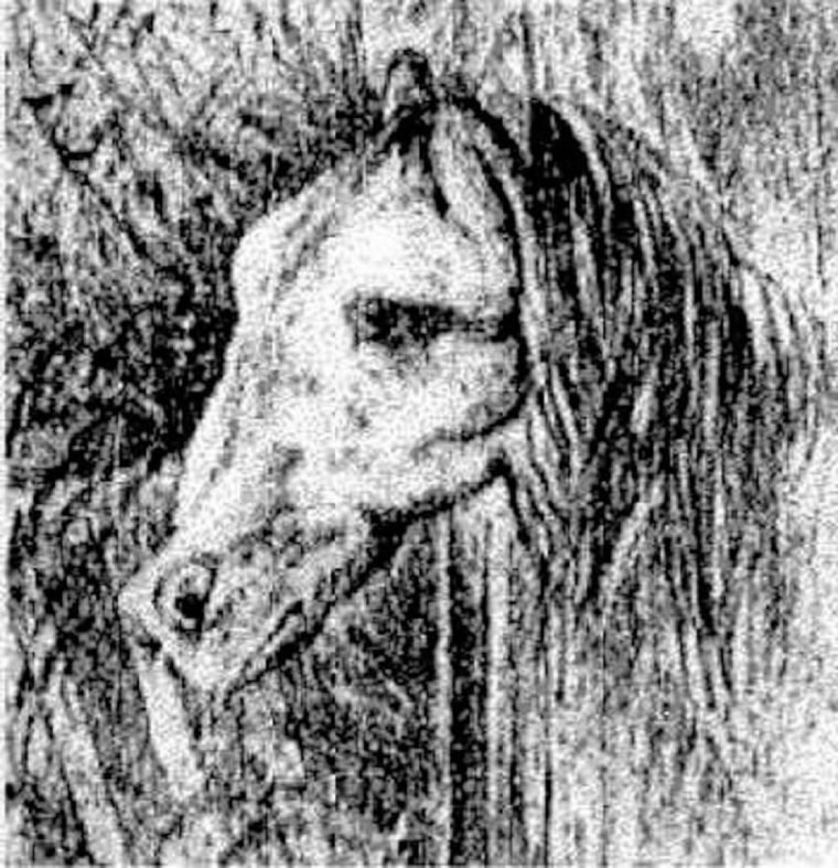 1500073181 175 voce consegue encontrar o cavalo escondido nessa imagem
