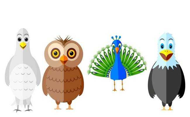 Qual pássaro mais representa a sua personalidade?