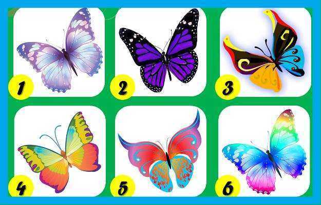 Teste das borboletas: Veja o que elas dizem sobre sua personalidade!