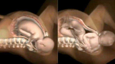 Vídeo mostra transformações no corpo da mulher para o bebê nascer