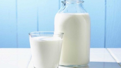 Mitos e verdades sobre o leite na alimentação