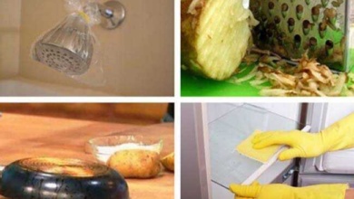 10 Truques de limpeza que deixam vários objetos como novos