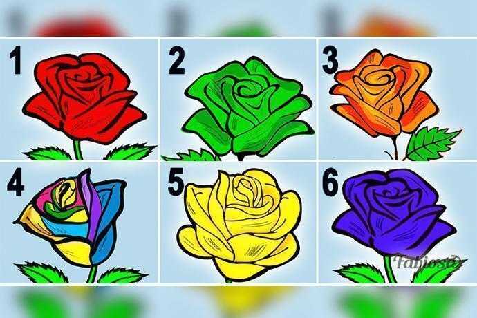 Escolha a rosa que mais te agrada e segredos sobre a sua personalidade serão revelados d