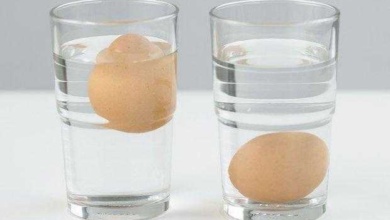 Truque infalível para saber se os seus ovos estão bons para consumo