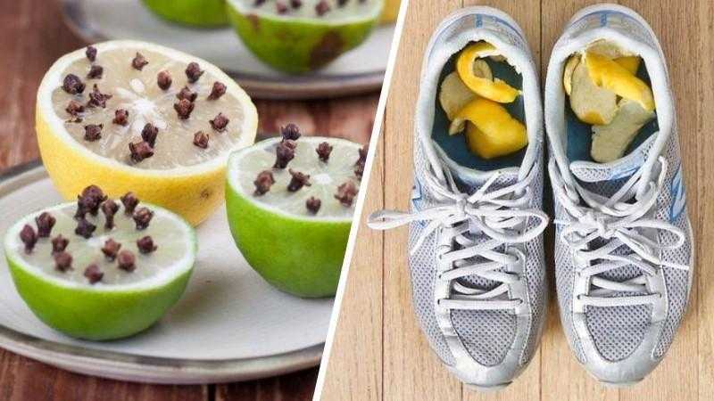 12 Razões pelas quais o limão é uma das frutas mais úteis do mundo hs