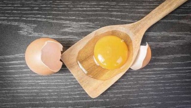 Benefícios de comer a clara de ovo
