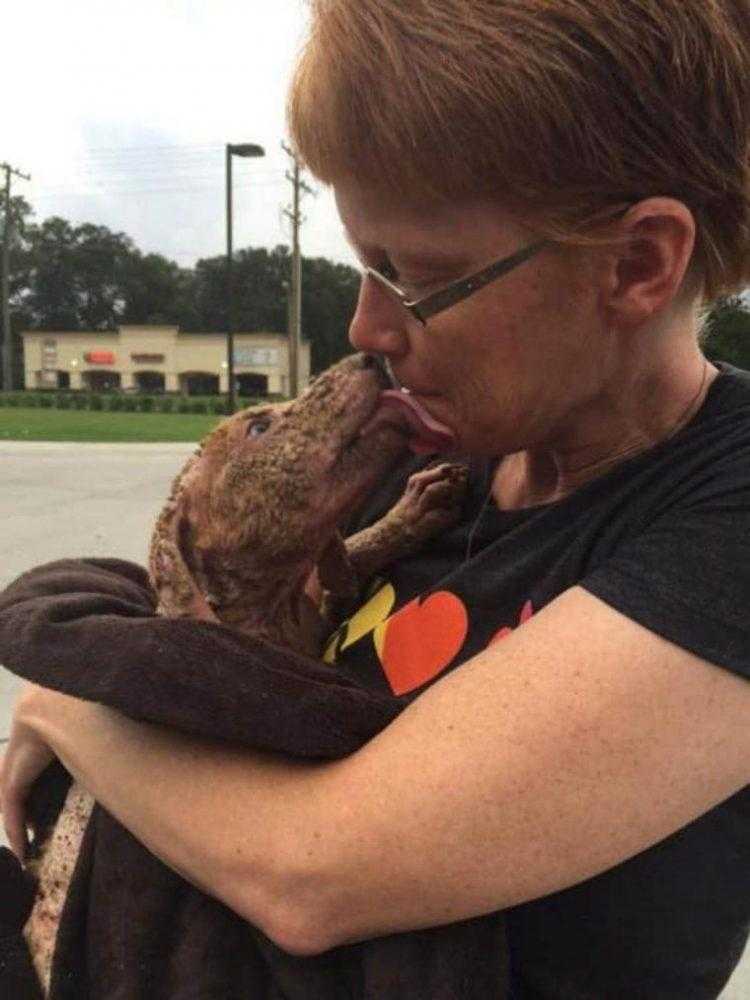 Cadela jogada de um caminhão fica muito feliz por ter sido resgatada