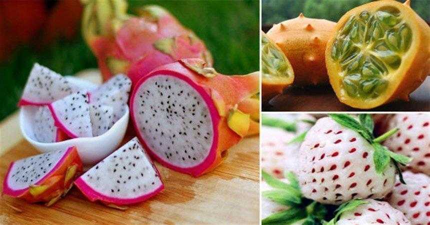 15 frutas diferentes que você talvez nunca tenha visto