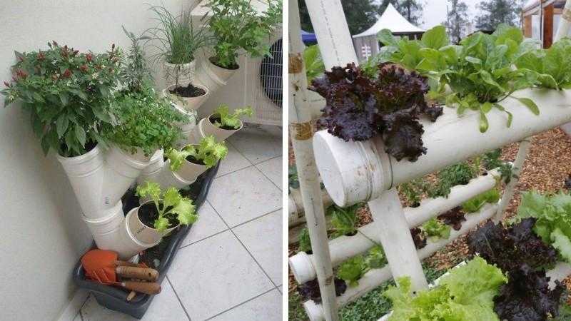Como fazer horta com canos PVC