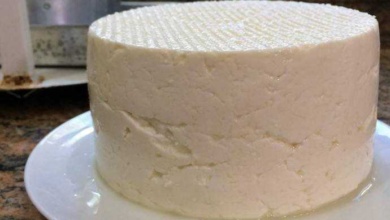 Como fazer queijo de minas delicioso