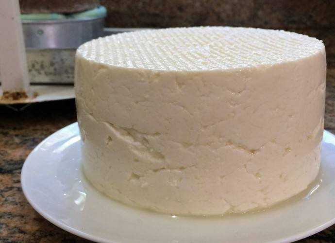 Como fazer queijo de minas delicioso