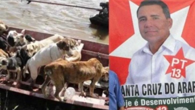 Ex-prefeito é condenado a 20 anos de prisão por matança de cachorros