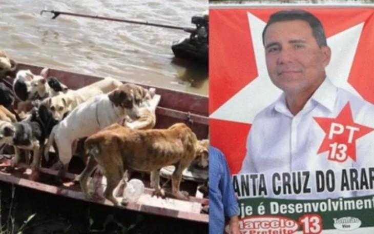 Ex-prefeito é condenado a 20 anos de prisão por matança de cachorros