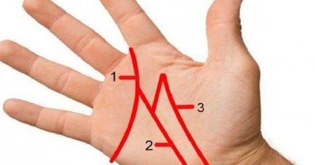 O poder secreto das raras pessoas que possuem a letra ‘M’ na palma das mãos