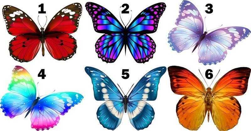 Escolha uma borboleta e veja sua mensagem de felicidade