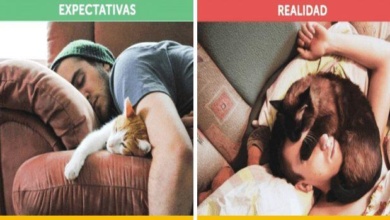 Fotos hilárias mostrando a expectativa vs realidade