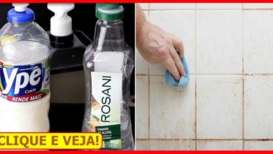 → Mistura Mágica - Aprenda Como Limpar Azulejo Sem Esforço!
