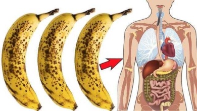 10 Benefícios de comer 2 bananas por dia que você vai amar