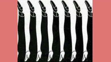 Desafio: quantas pernas você vê na foto?