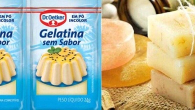 → Como fazer sabonete de gelatina para uma pele saudável