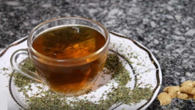 Chá de orégano com gengibre: confira os vários benefícios para a saúde