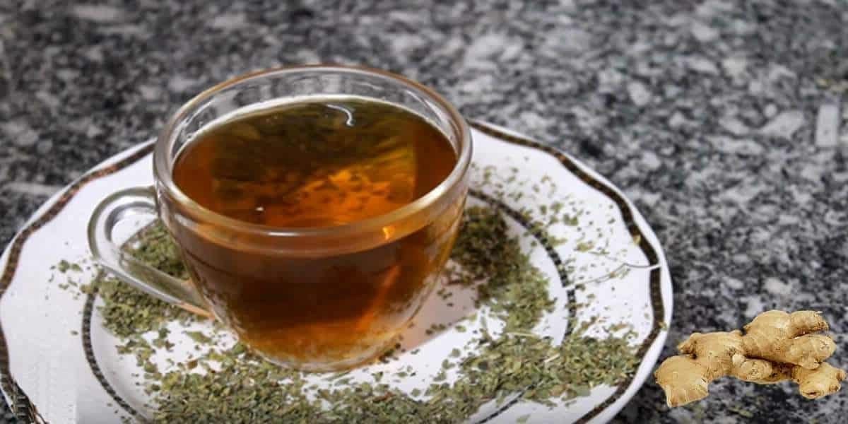 Chá de orégano com gengibre: confira os vários benefícios para a saúde