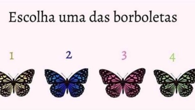 Teste: Escolha uma das 4 borboletas e saiba a mensagem que ela tem para você