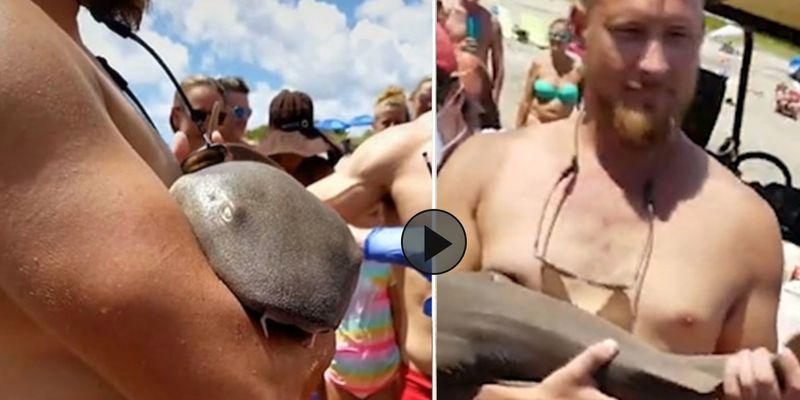 Vídeo: Homem é atacada por tubarão, e animal fica preso com os dentes cravados em seu braço