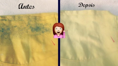 4 Técnicas fáceis de como tirar mancha de mofo da roupa