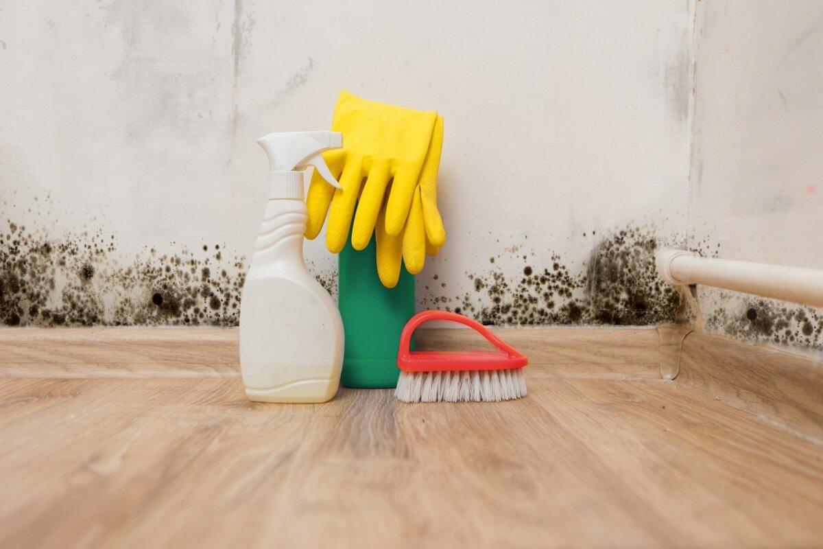 Maneiras fáceis de prevenir e remover o mofo de dentro de casa