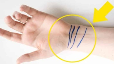 Essas 4 linhas no seu pulso revelam seu estado de saúde e seu futuro de acordo com a quiromancia